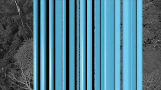 Afternoon Swim & Shop - Pura Vida 9