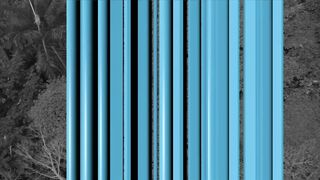 Pura Vida 16 - BTS - Quepos