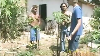 Beach Balls - Scene 1