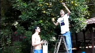 Friends in Fun - Scene 2