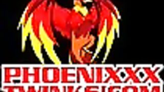 The Wood in the Cabin