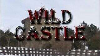 Wild Castle (2006)