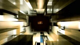 Bare Conviction 2008