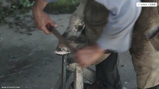 Raw Rodeo #4 - Benjamin Dunn, Mike Branco