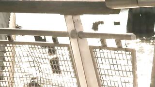 Wilfried Knight & Drew Cutler