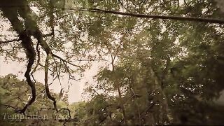 Return to the Garden