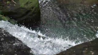 Adam Killian's Threesome