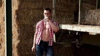 Bulrog Breeds Stas Landon Behind The Hay Bales