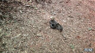 Scouts - Part 1 (CK Steel, Johnny Rapid)