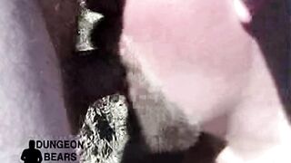 Steve's Dream Vacation