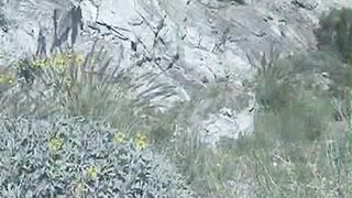 Ice Cream for Desert