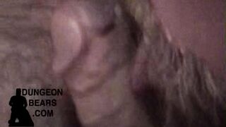 Hair Cut and Blow Job