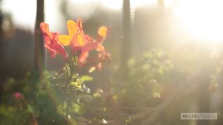 Introducing Collin Adams