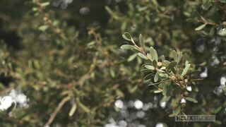 Playing in the Park (Andy Taylor, Elijah West)