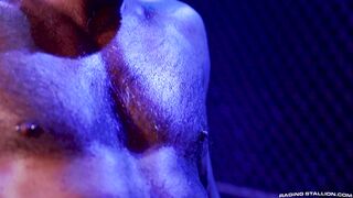 Raging Stallion - Cock Hunter