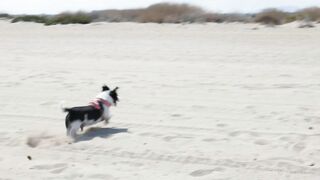 Spanish Adventures Part 4 : Hitching a Ride