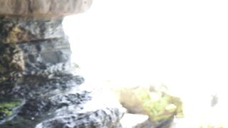 Beach Blowies (Ian Levine, Troy Accola)