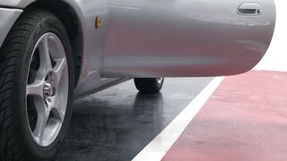 Jungle: To The Wolves