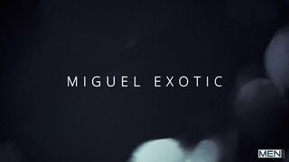 An Exotic Morning (Felix Fox, Miguel Exotic)