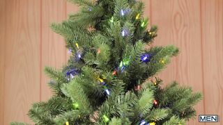 Breeding The Elf