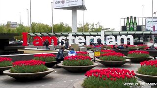 Sergio Moreno and Fernand Dutch